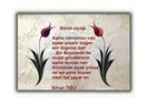 Bahardır Yaşamak