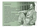 Kimimiz öldük, kimimiz…