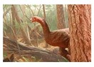 Dinozorlar hakkında 10 efsane