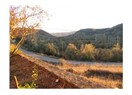 Nükleer santral ve insan