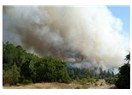 Orman yangınları ile mücadele ve orman köylüleri