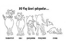 Kim daha çok tatil yapıyor?
