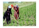 Kadın olmanın dayanılmaz hafifliği/ağırlığı