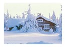 Çakader Huzurevi'nin Çatısındaki Baykuş!a