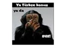 İçlerinden en iyi olan ilk metni okusun!