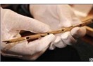 Prehistorik kuş kemikleri ve oluşturulan flüt