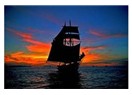 Kon - Tiki Sal Macerası