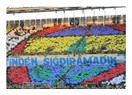 Fenerbahçe, Denizli’de yaşadığı 1-1’lik hüsranı 4 yıl sonra Kadıköy’de de yaşadı!
