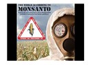 Deccal'in adı var: Monsanto, Ca...