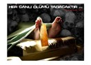 Ölünce Düşünürüz!