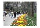 Gülhane Parkı