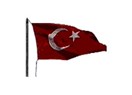 İlk Türk bayrağı