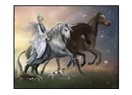 Eğitimi skandallı, masal ülkesi...