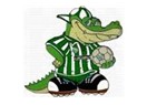 Anadolu'da futbol devrimi ve Bursaspor...