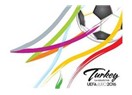 "UEFA Euro 2016 Türkiye" nedir? Kime, ne kazandırır?
