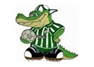 Bursaspor Henüz Şampiyon Değil