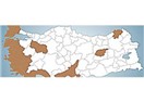 Referandum sonuçlarını okumak...