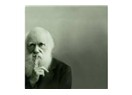 Darwin uyarıyor: Şşşş, boşa yaygara yapmayın!
