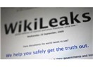 Wikileaks şok etmedi!