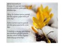 Yeni yılda yazdığım ilk şiir
