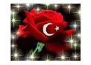 Kan çiçekleri…