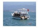 Meğri içinde bir güzel