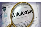 WikiLeaks: Ne Ararsan Var; Yok, Yok...