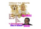 21. yüzyılın filden büyük aşkının şiirleri