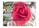 Anlamıyorum ki?