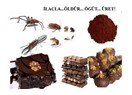 Fare leşli, böcekli kakao işlenip bize yedirilmiş! Yapanın yanına kâr kalmış!