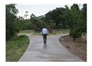 Türkiye bir yol ayrımına gelmiştir