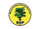 BDP ne yapmak istiyor?