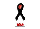 Vicdanî Red