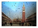 Sanat Hazineleri (San Marco Meydanı)