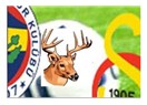 Derbi üzerine sorulu geyikler?