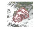 Dağda vurulmak.