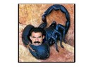 İmralı'daki Akrebe
