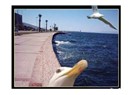 İzmir yazmak…İzmir’e yazılmak…