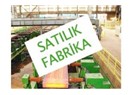 Mücadelenin dünü ve bugünü