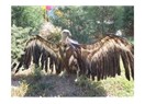 Açtırlar; aç bir akbaba misali!