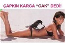 Hayvan dostlarımız 4: Karga
