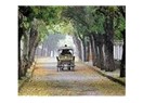 İstanbul'un Prens Adaları