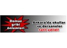 Ankara'da domuz gribi: okullar ve dersaneler 1 hafta tatil edildi!