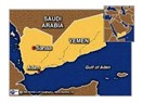 Gül-ü Yemendir?