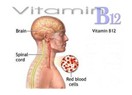 B 12 Belleğe Faydalıdır Yaşlılığı Yavaşlatır