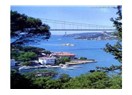 Neden İstanbul?