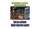 Mazıdağı’nın köyü yandı, yürekler dağlandı!