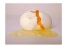 Yumurtanın esbabı mucibesini anlamak