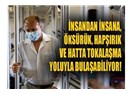 Domuz Gribi Aşısı Türkiye'de!
