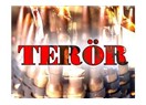 Güzide Terör Örgütümüz…